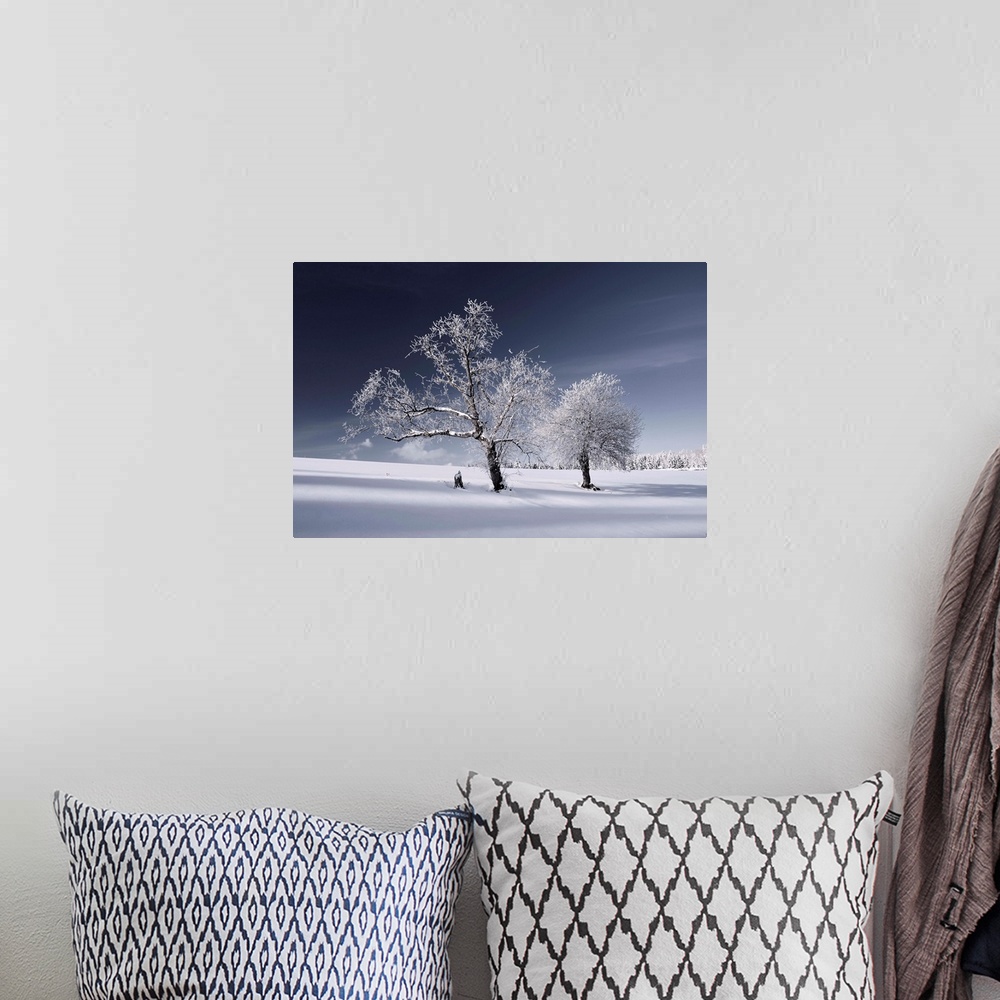 A bohemian room featuring Large photograph of a snow covered landscape, two trees in the foreground, am open field behind t...