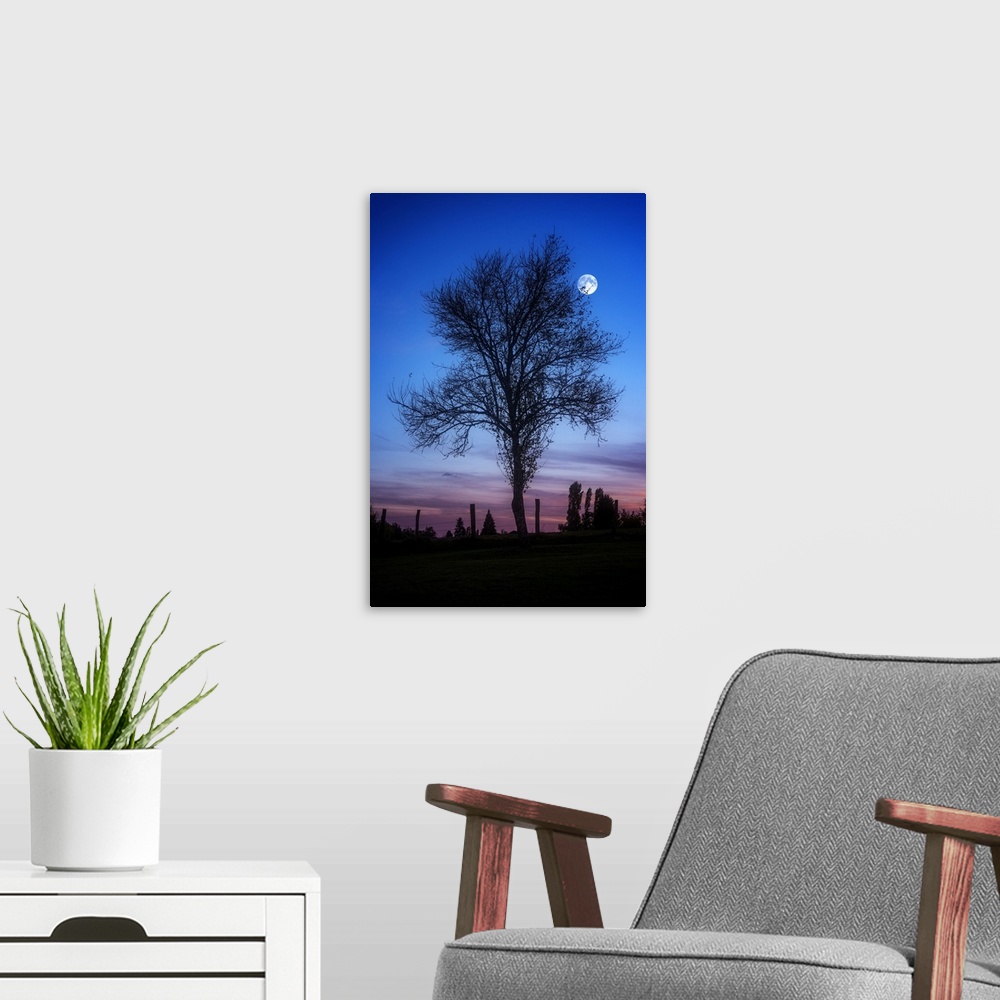 A modern room featuring Silhouette of a tree in the evening with the moon above.