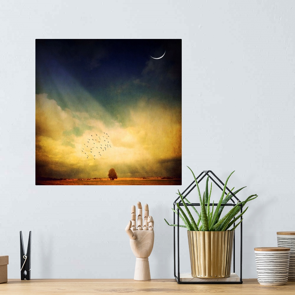 A bohemian room featuring This photograph art work is a digital composite of a crescent of the moon, a small flock of birds...