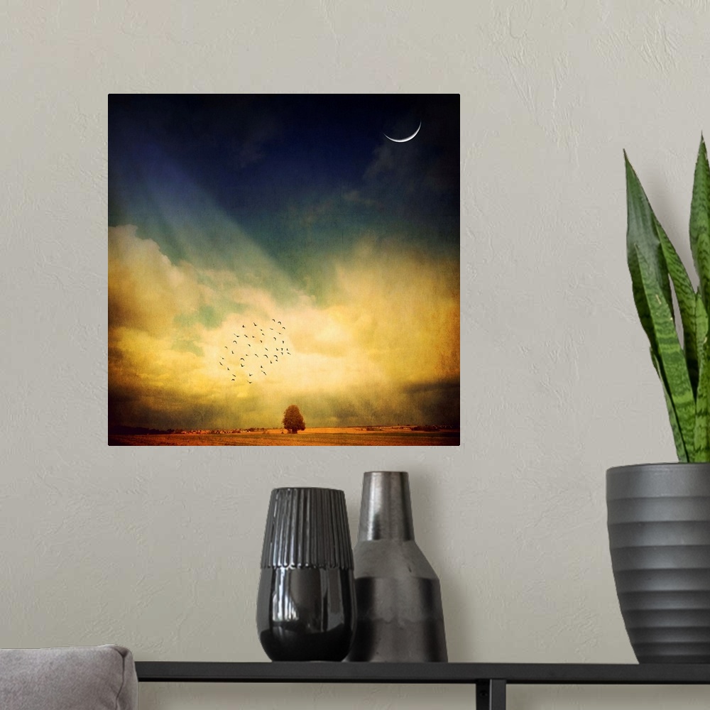 A modern room featuring This photograph art work is a digital composite of a crescent of the moon, a small flock of birds...