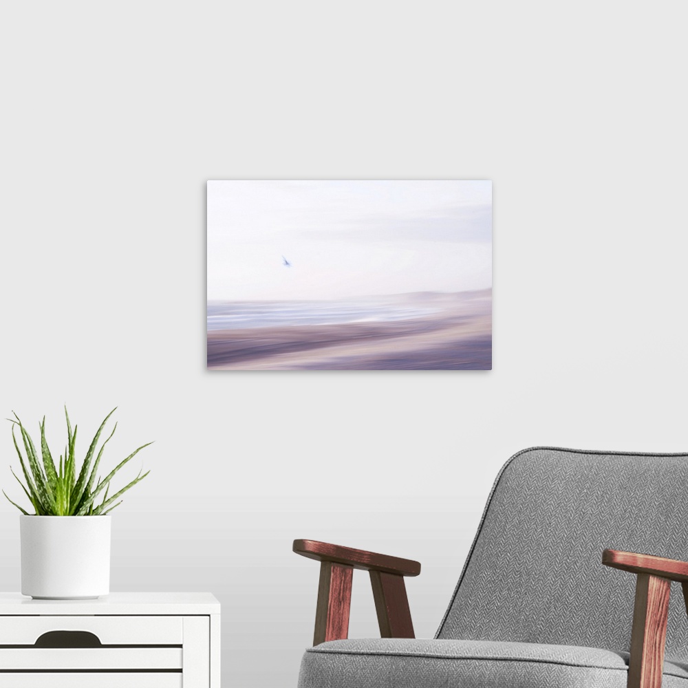 A modern room featuring Artistically blurred photo. The North Sea beach of North Jutland, Denmark. A seagull flies to the...