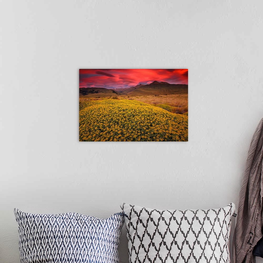A bohemian room featuring A thick field of flowers is pictured in the foreground with hills in the distance under a hot pin...
