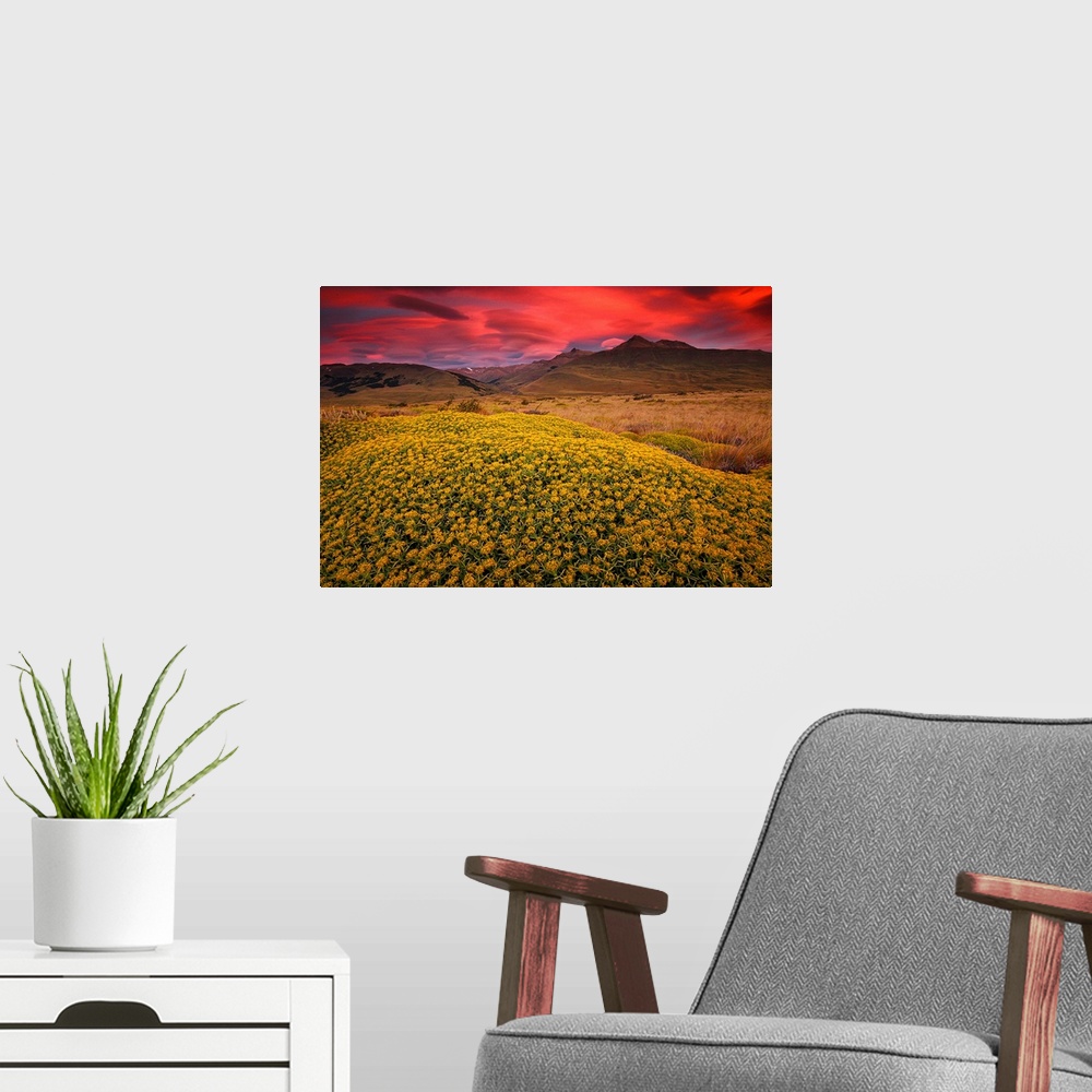 A modern room featuring A thick field of flowers is pictured in the foreground with hills in the distance under a hot pin...