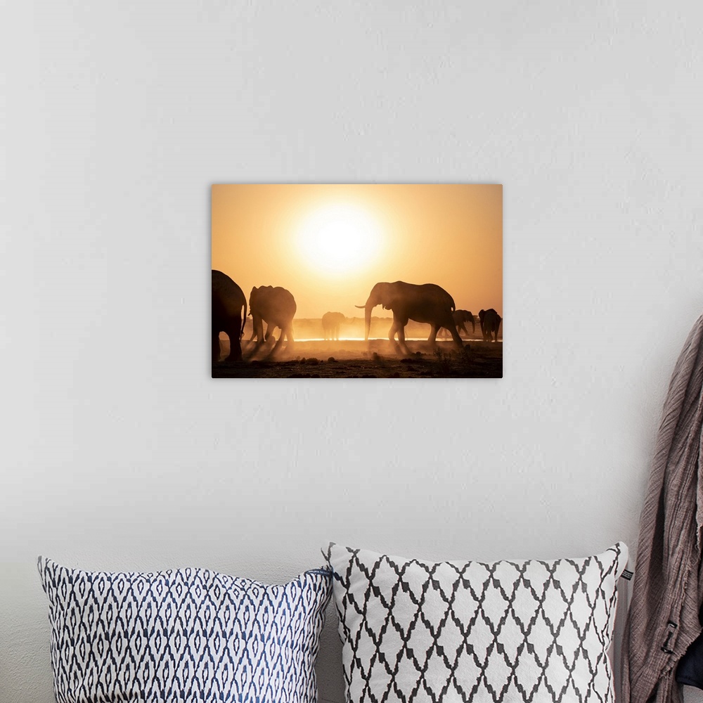 A bohemian room featuring Silhouettes of elephants at a dusty sunset in Botswana.