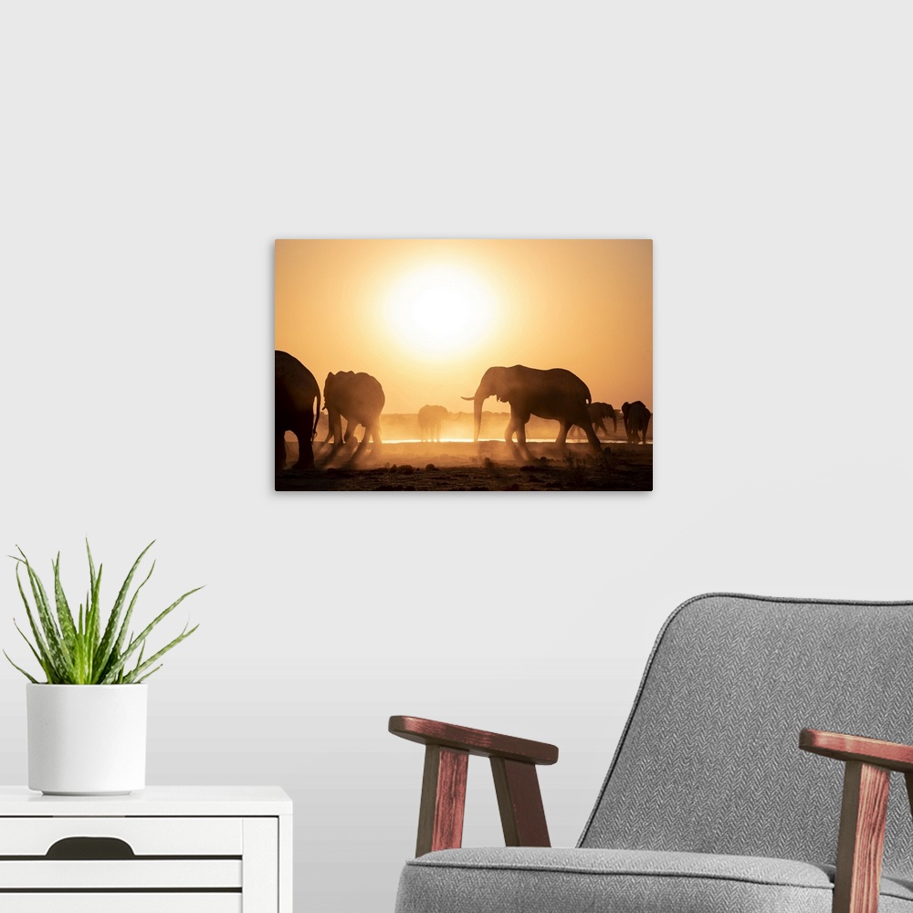 A modern room featuring Silhouettes of elephants at a dusty sunset in Botswana.