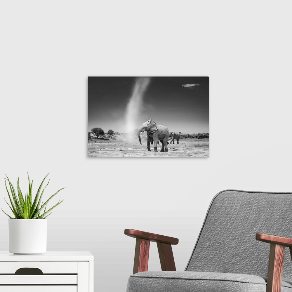 A modern room featuring An elephant shakes his head with dissatisfaction at a passing dust devil.