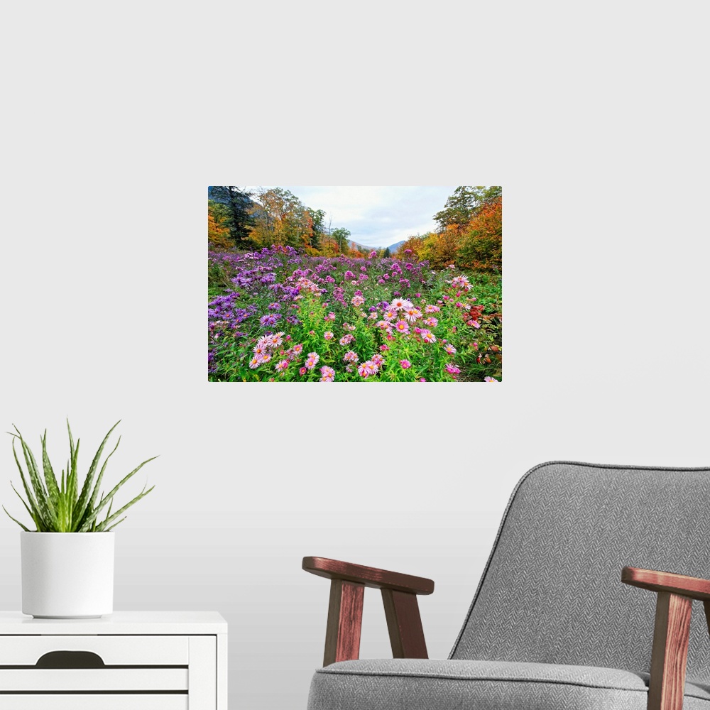 A modern room featuring Big canvas of a meadow with wildflowers and fall foliage surrounding it in New Hampshire.