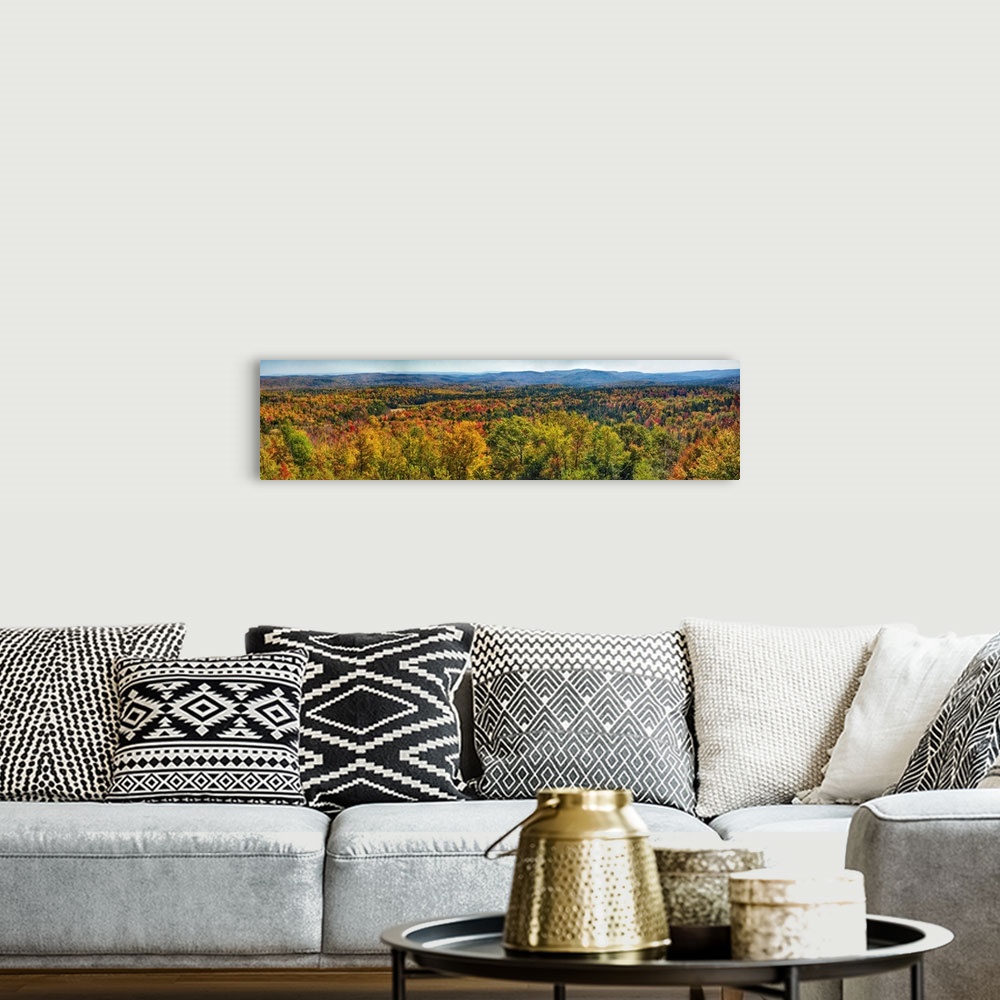 A bohemian room featuring Panoramic view of a virtually endless forest turning autumn colors in New England.