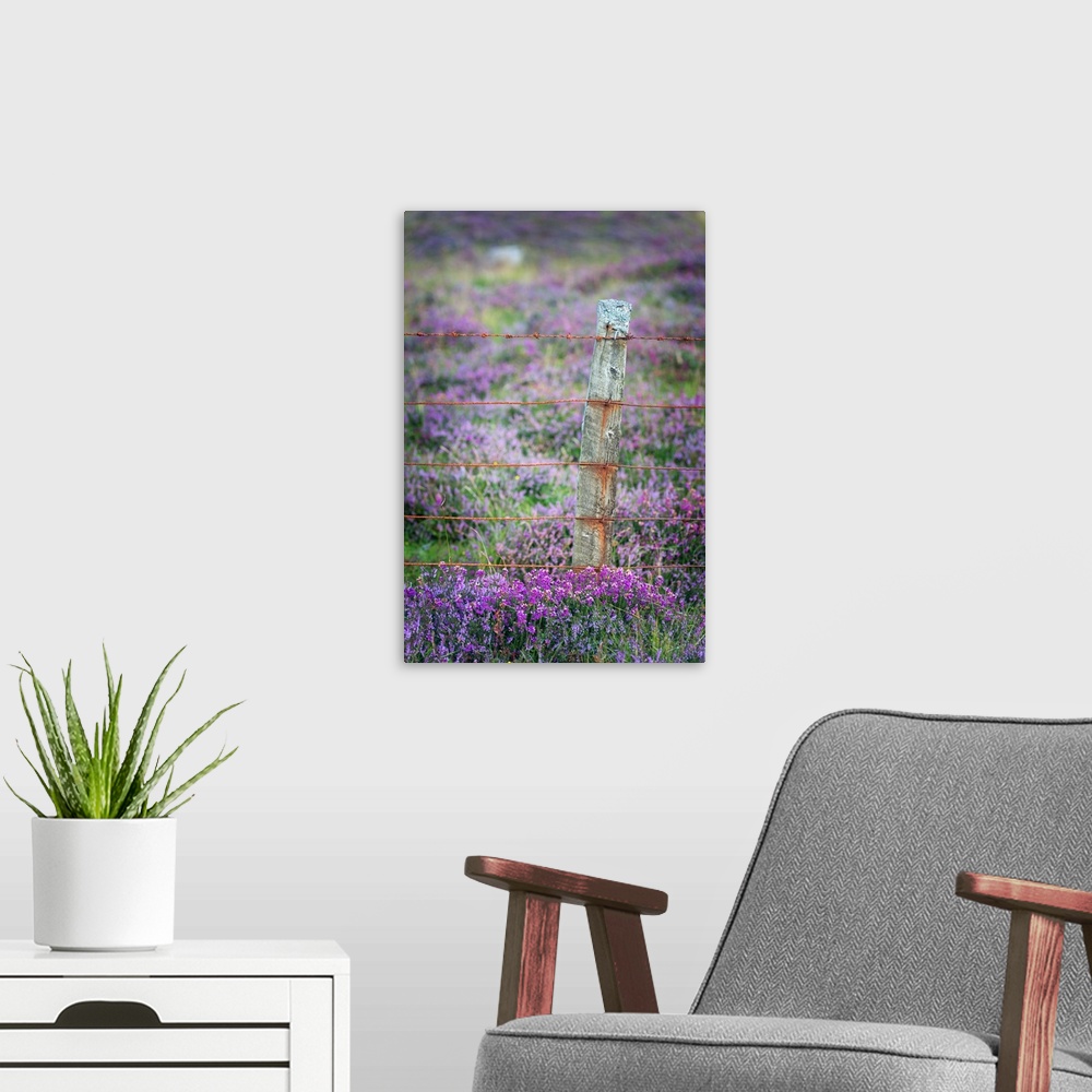 A modern room featuring Fine art photo of a wooden post with wire in a field of purple flowers.