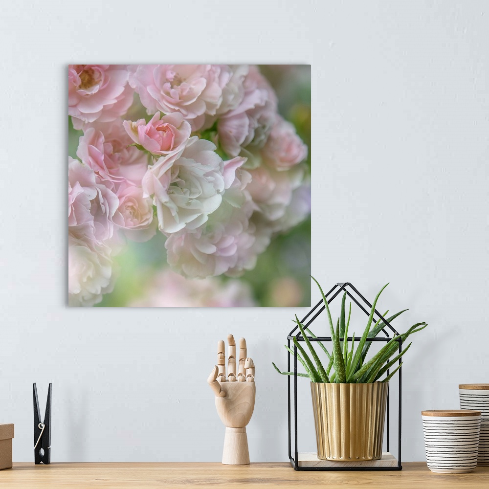A bohemian room featuring Soft pastel image of a group of roses.