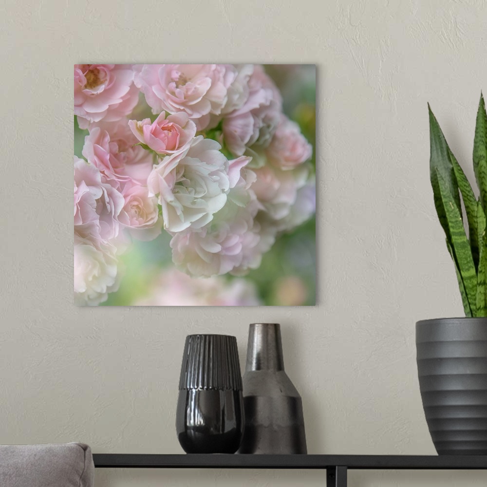 A modern room featuring Soft pastel image of a group of roses.