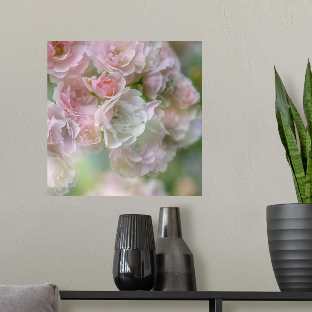 A modern room featuring Soft pastel image of a group of roses.