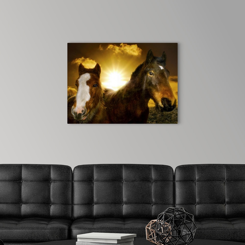 A modern room featuring Equine Sunrise