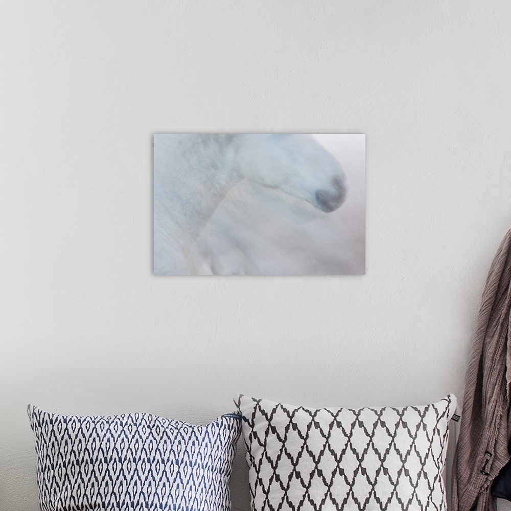 A bohemian room featuring A soft impressionistic image in a dreamy blurred style of the head of a white horse.