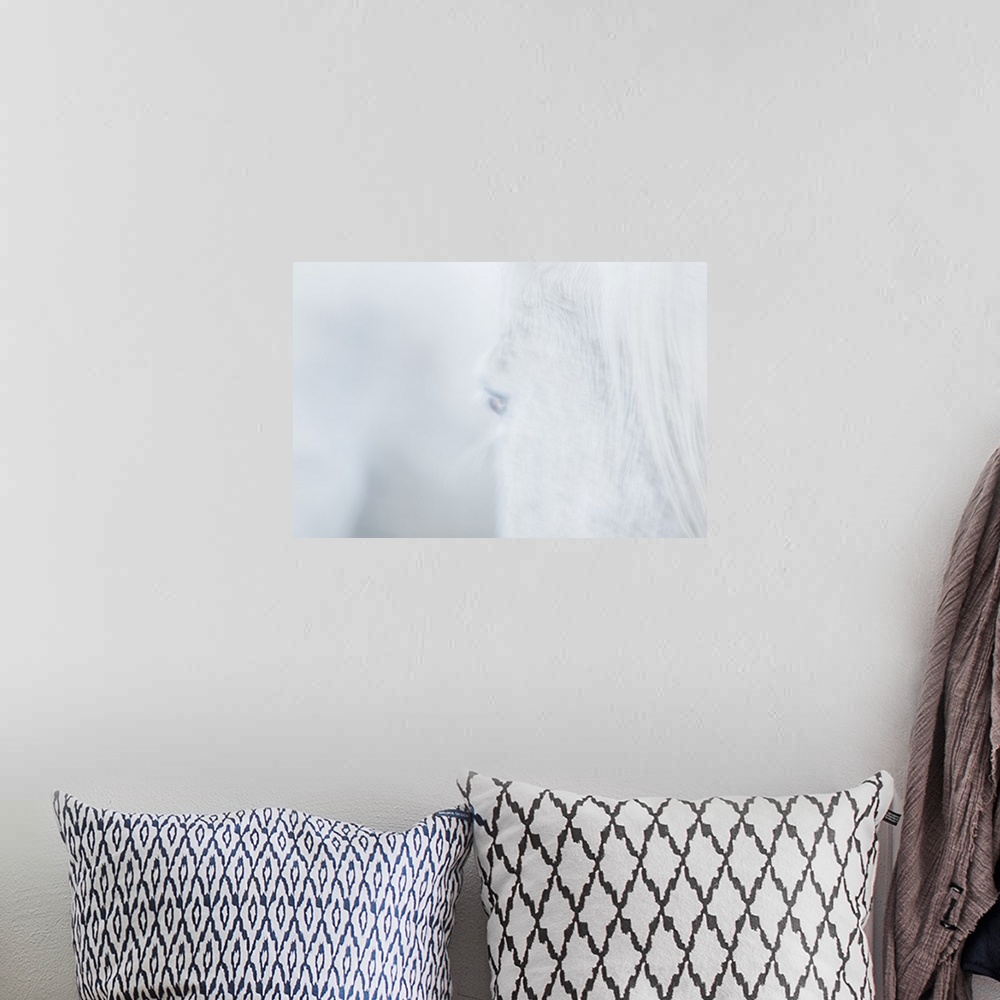 A bohemian room featuring A soft impressionistic image in a dreamy blurred style of the head of a white horse.