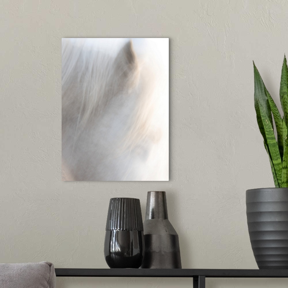 A modern room featuring A soft impressionistic image in a dreamy blurred style of the head of a white horse.