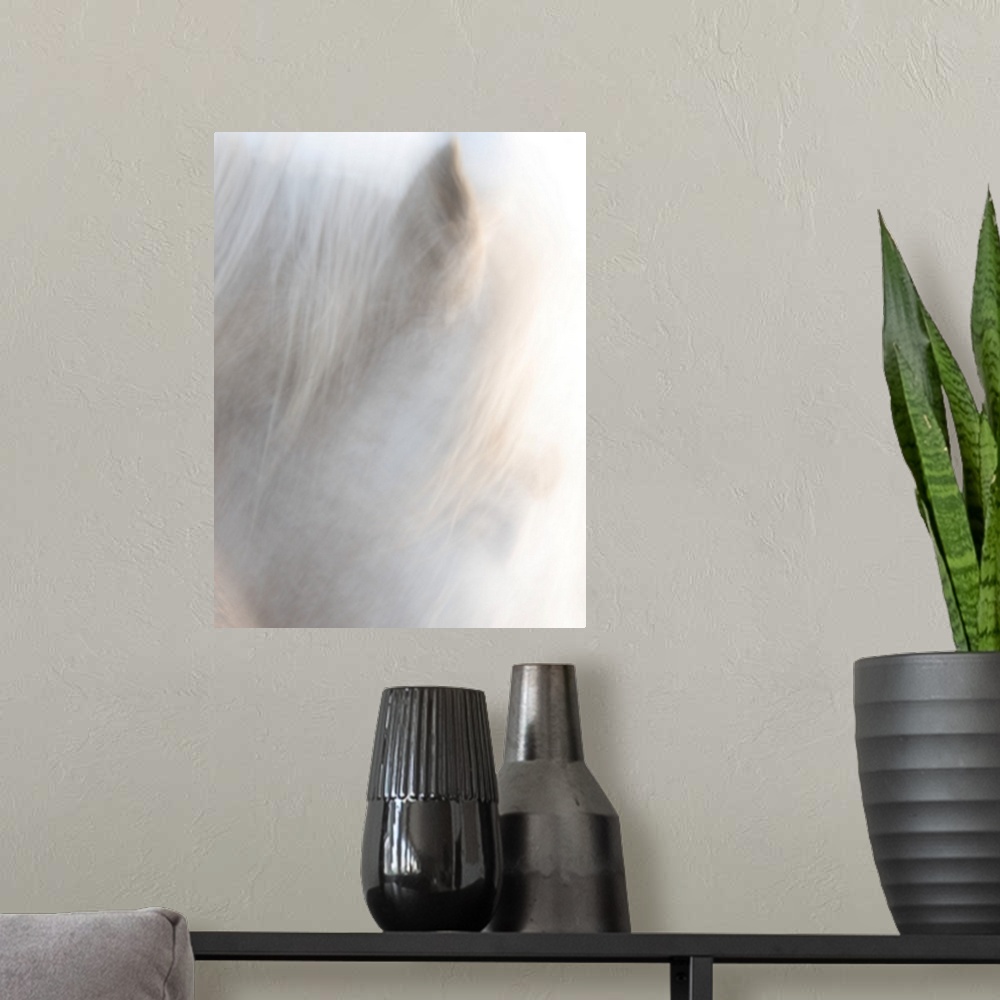 A modern room featuring A soft impressionistic image in a dreamy blurred style of the head of a white horse.