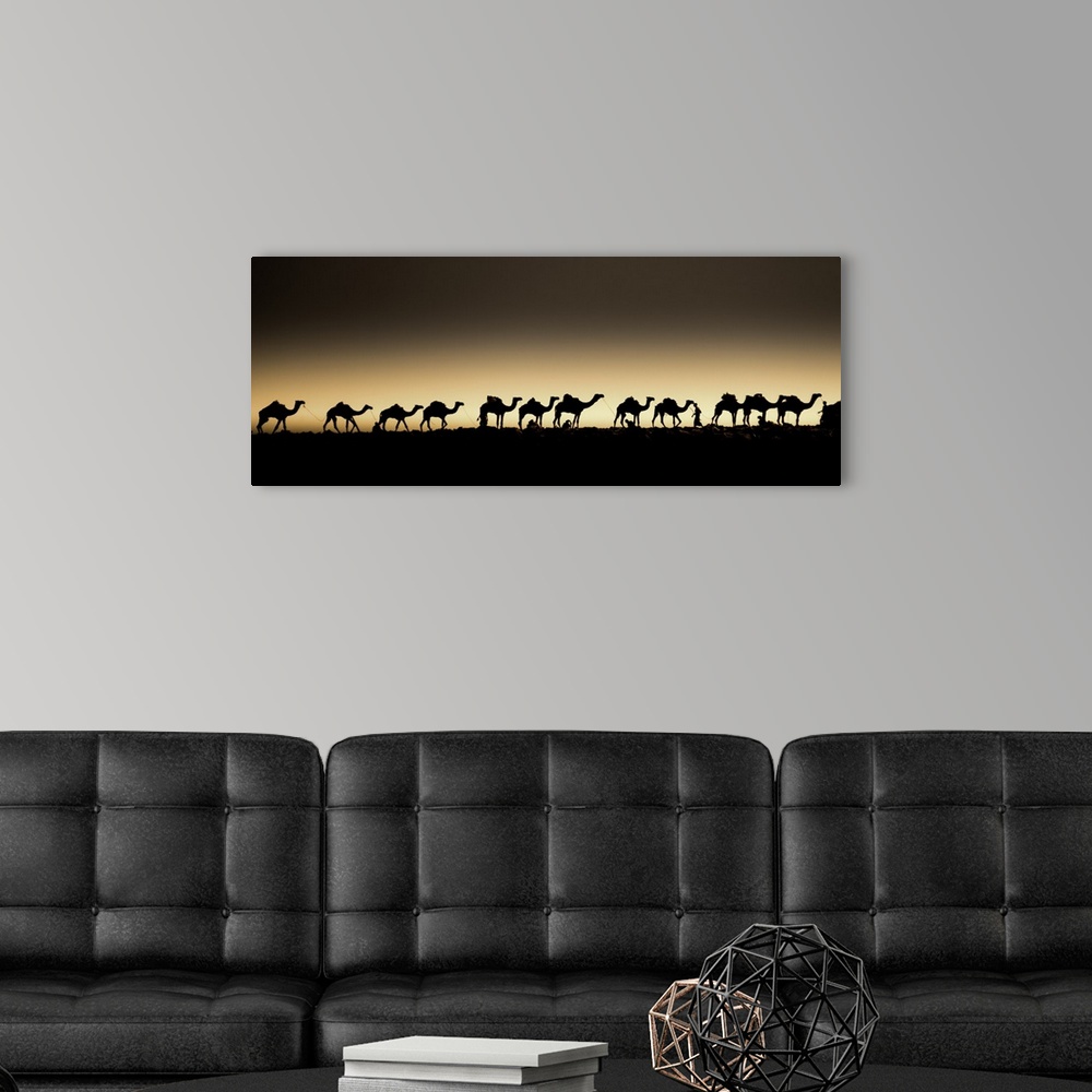 A modern room featuring A herd of camels in a single-file line, silhouetted against the setting sun.