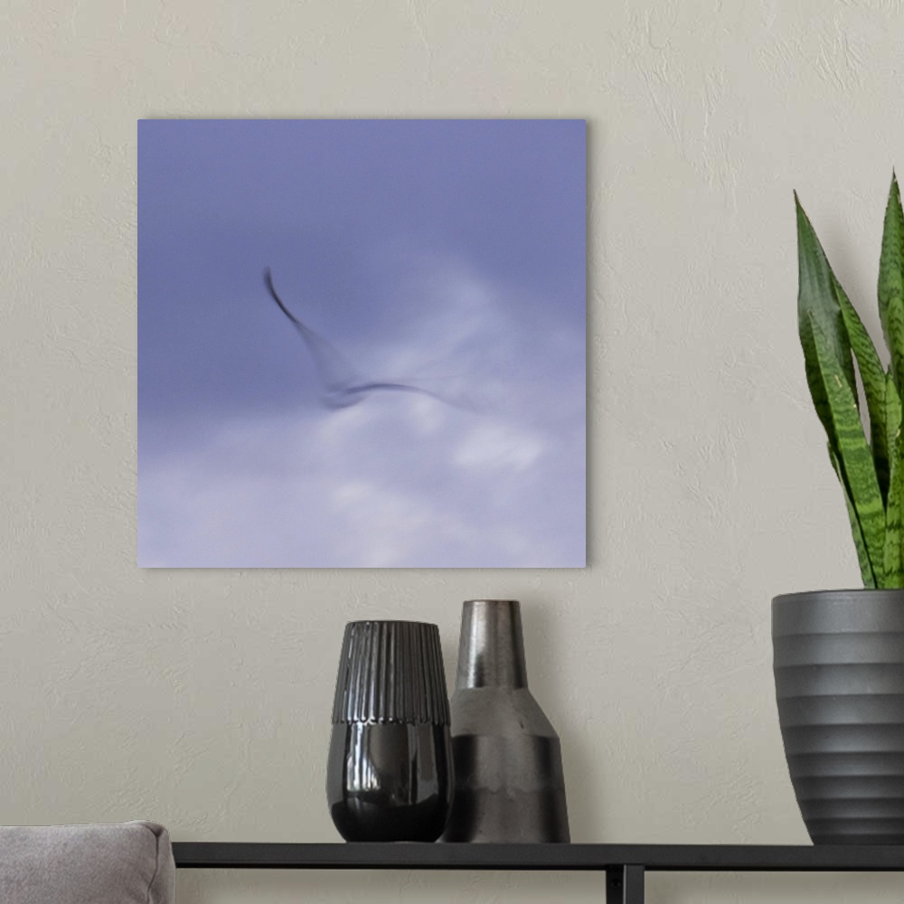 A modern room featuring Artistically blurred photo. A seagull rises to the sky.