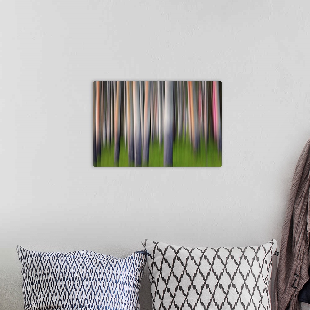 A bohemian room featuring Blurred image of a forest of aspen trees, creating an abstract vertical pattern.