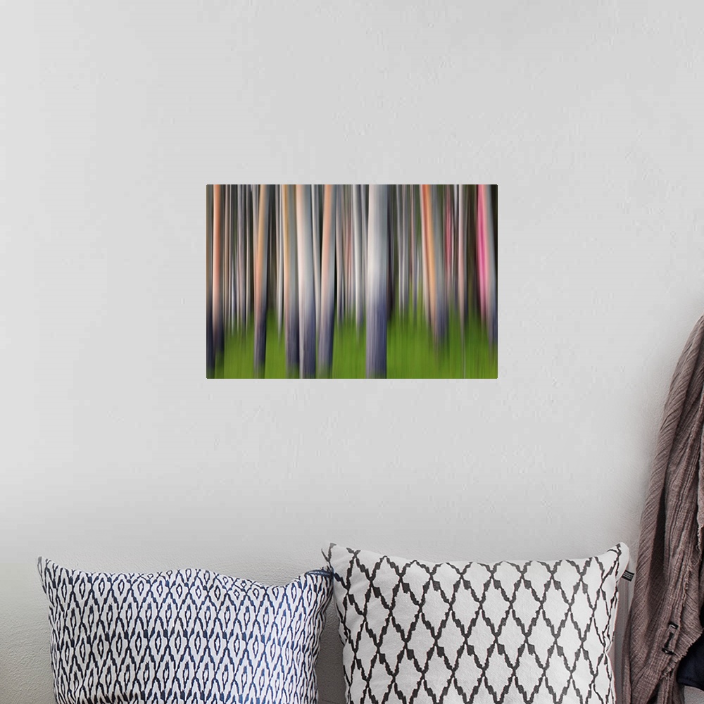 A bohemian room featuring Blurred image of a forest of aspen trees, creating an abstract vertical pattern.