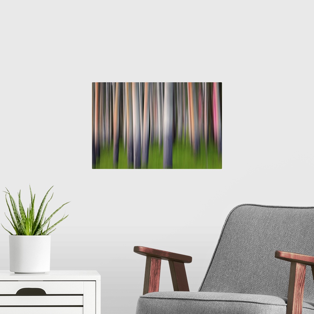 A modern room featuring Blurred image of a forest of aspen trees, creating an abstract vertical pattern.