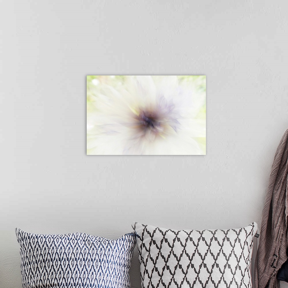 A bohemian room featuring Up close view of an artistically blurred wild flower, touched by the evening light.