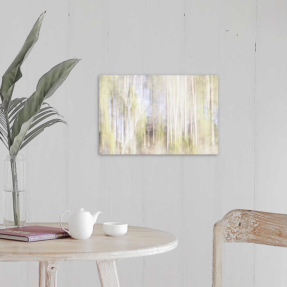 A farmhouse room featuring Artistically blurred photo. The light of the setting winter sun touches the trees.