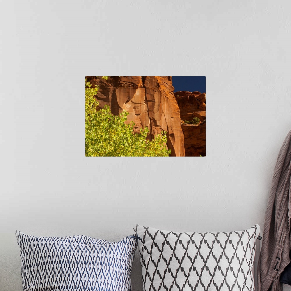 A bohemian room featuring Aspen trees, Canyon de Chelley National Monument, Arizona