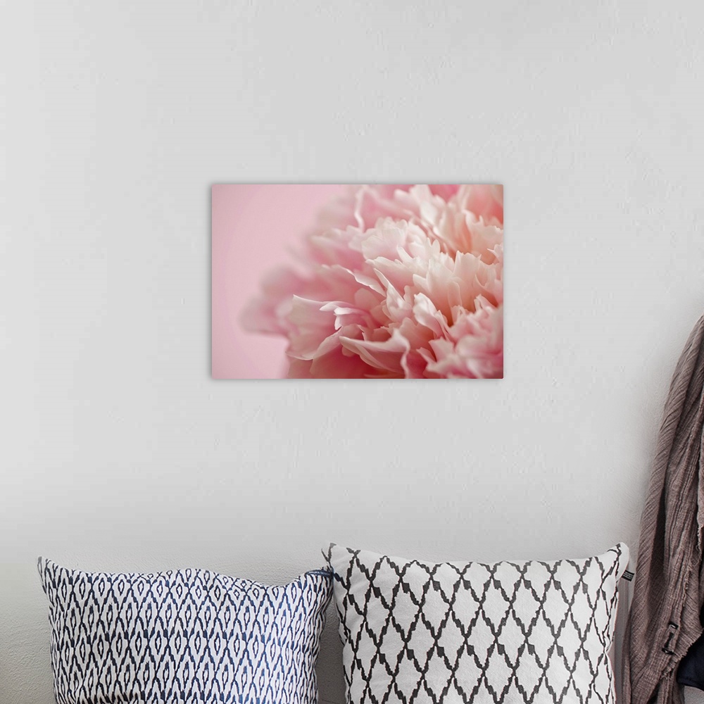 A bohemian room featuring Large, horizontal close up photograph of a white and light pink flower, the background petals blu...