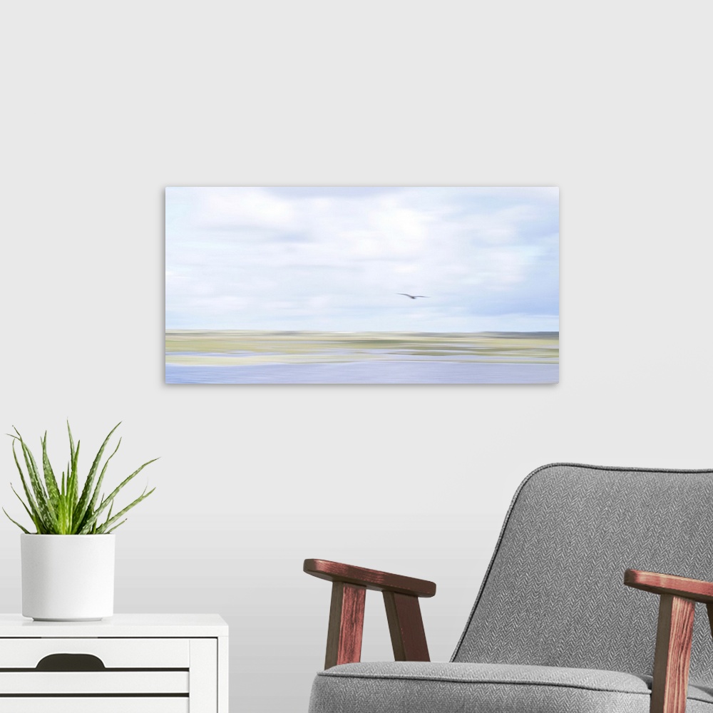 A modern room featuring Artistically blurred photo. The fading colors of summer. A seagull flies over the marshes.