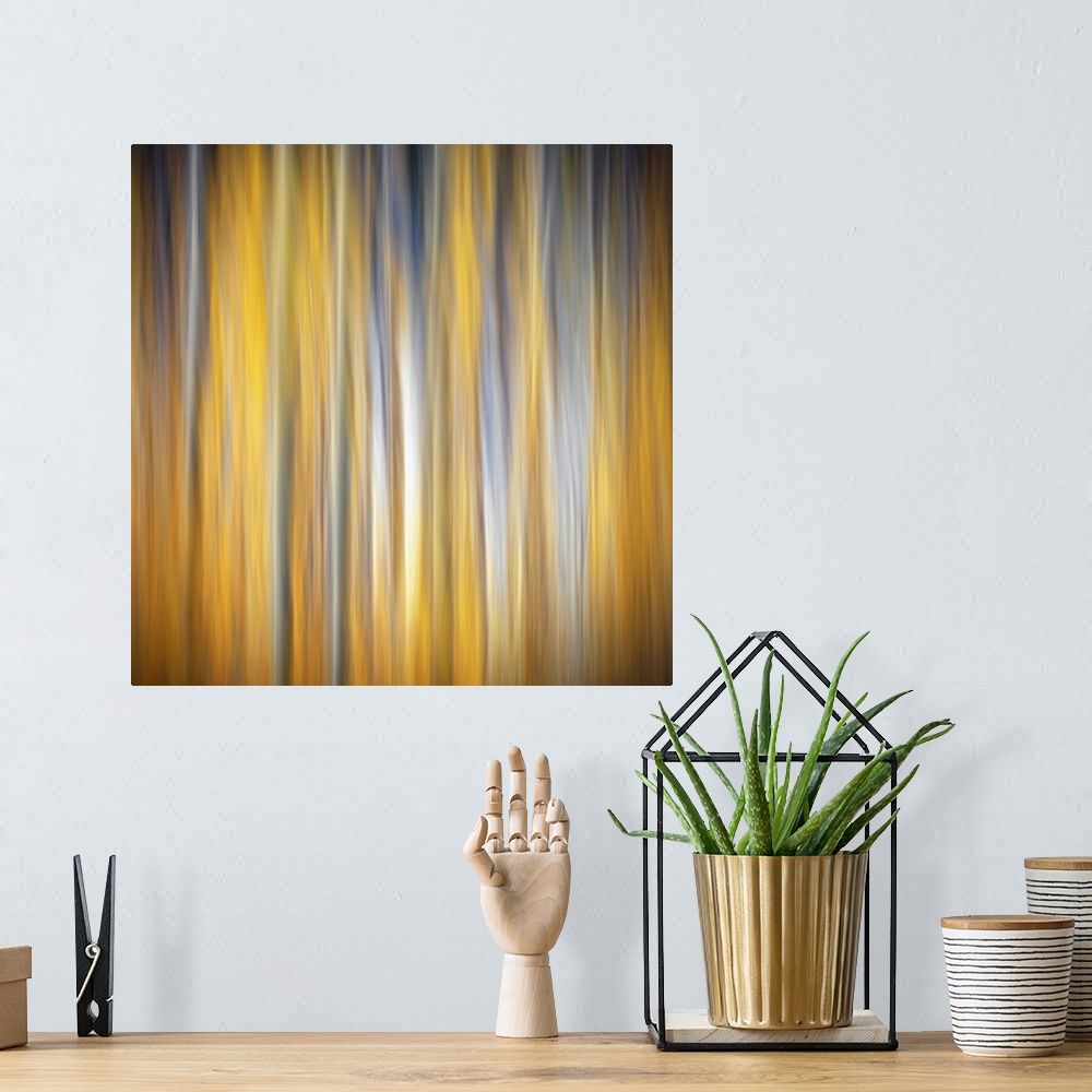 A bohemian room featuring Square abstract photograph of birch trees with a golden yellow background.