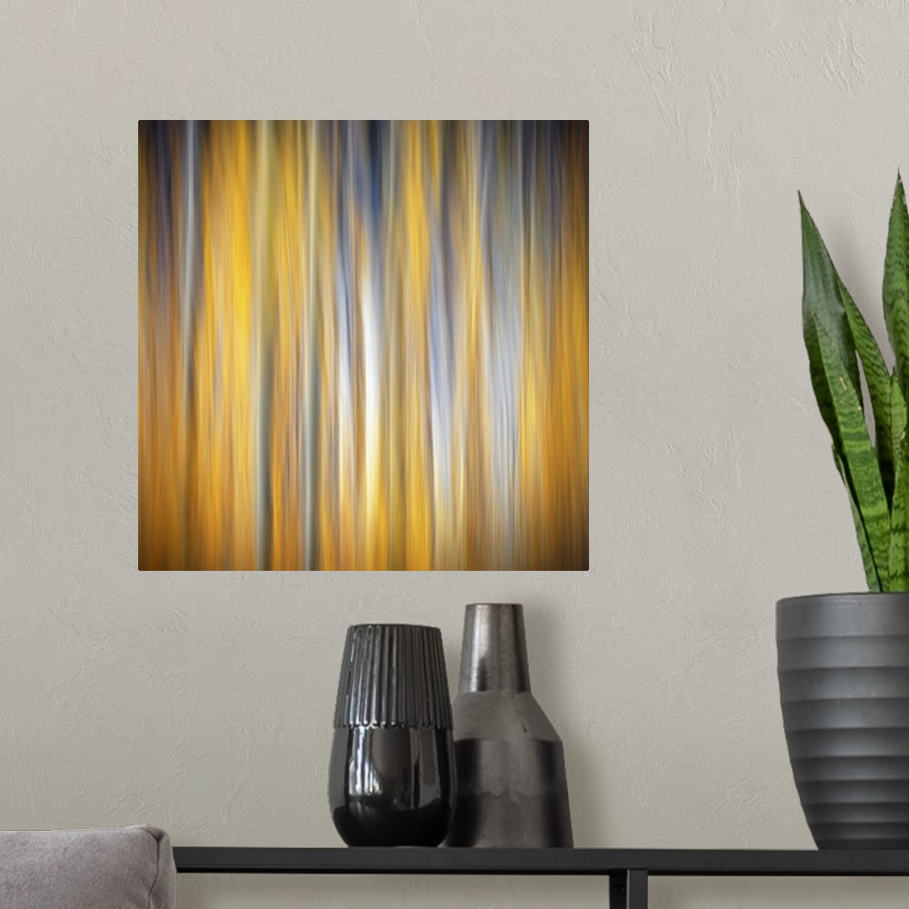 A modern room featuring Square abstract photograph of birch trees with a golden yellow background.