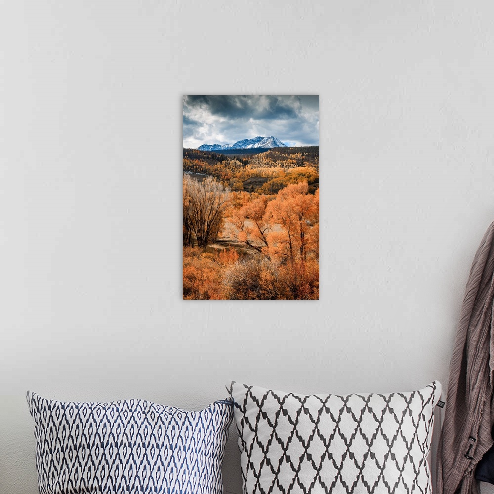 A bohemian room featuring Fall colors with snow mountain in the background in White River National Forest, Colorado