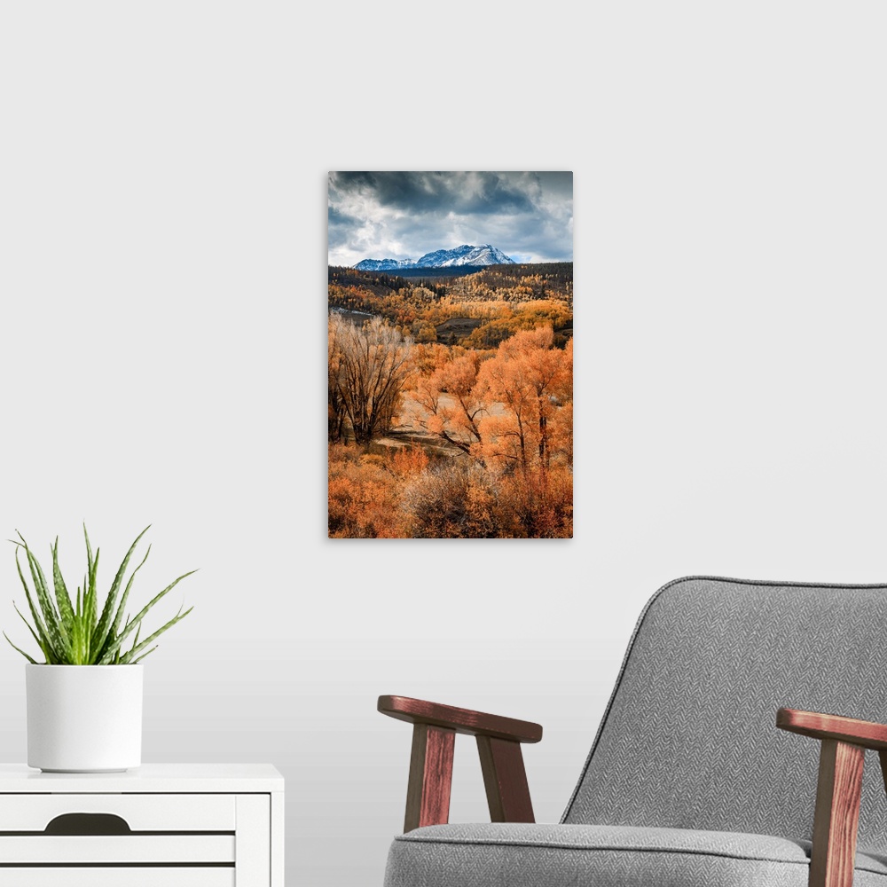 A modern room featuring Fall colors with snow mountain in the background in White River National Forest, Colorado