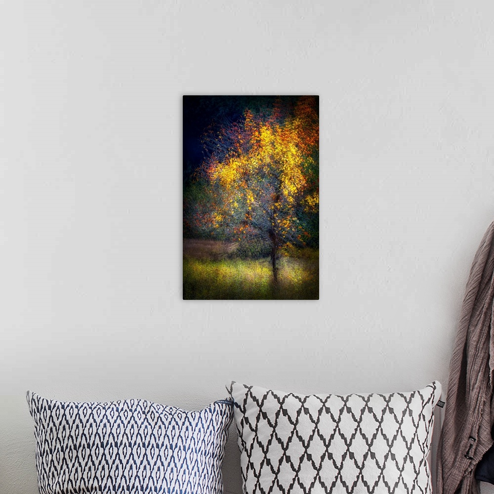 A bohemian room featuring Abstract image of a wild apple tree in the mountains of British Columbia, Canada. The image was m...