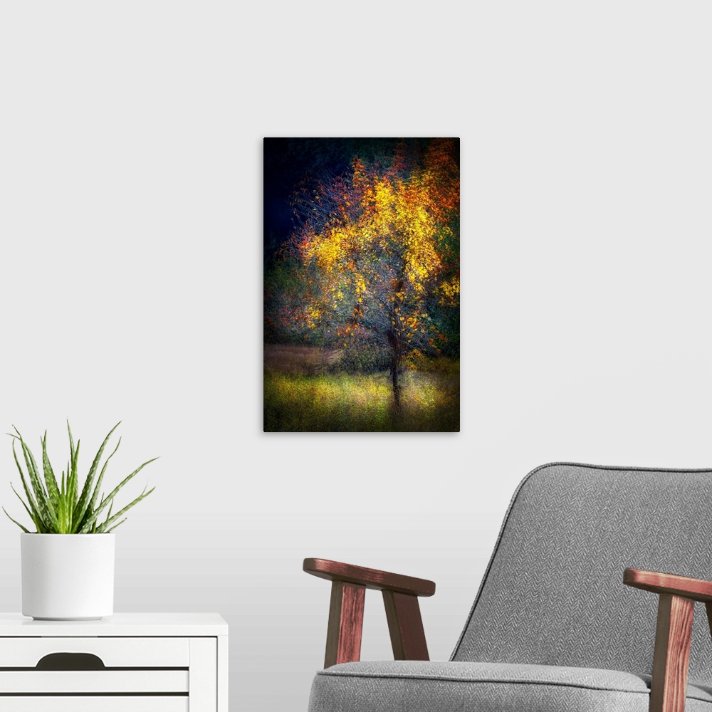 A modern room featuring Abstract image of a wild apple tree in the mountains of British Columbia, Canada. The image was m...