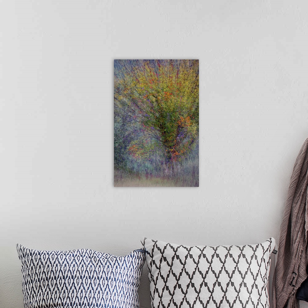 A bohemian room featuring An abstract photograph of a tree in autumn foliage.
