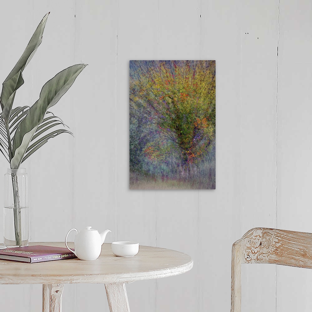 A farmhouse room featuring An abstract photograph of a tree in autumn foliage.
