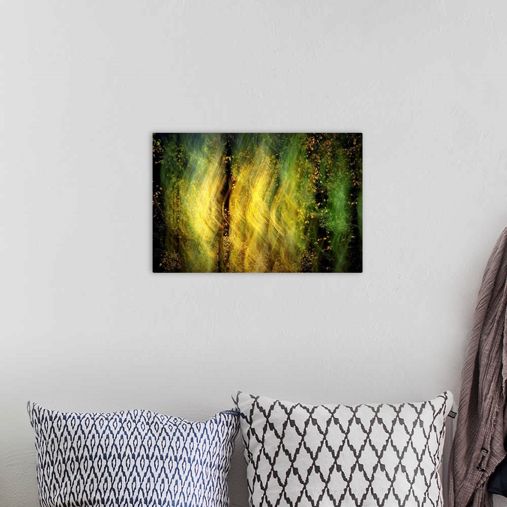 A bohemian room featuring Abstract blurred image of light shining through the trees in a forest.
