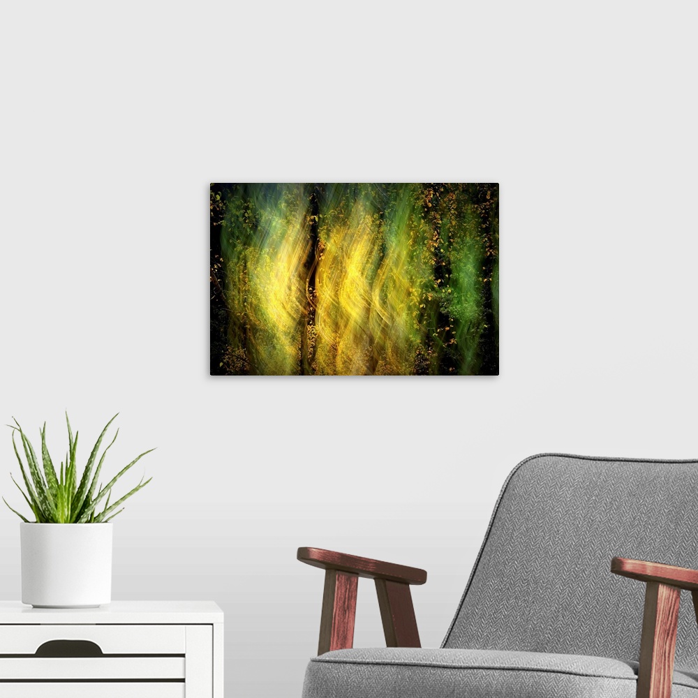A modern room featuring Abstract blurred image of light shining through the trees in a forest.