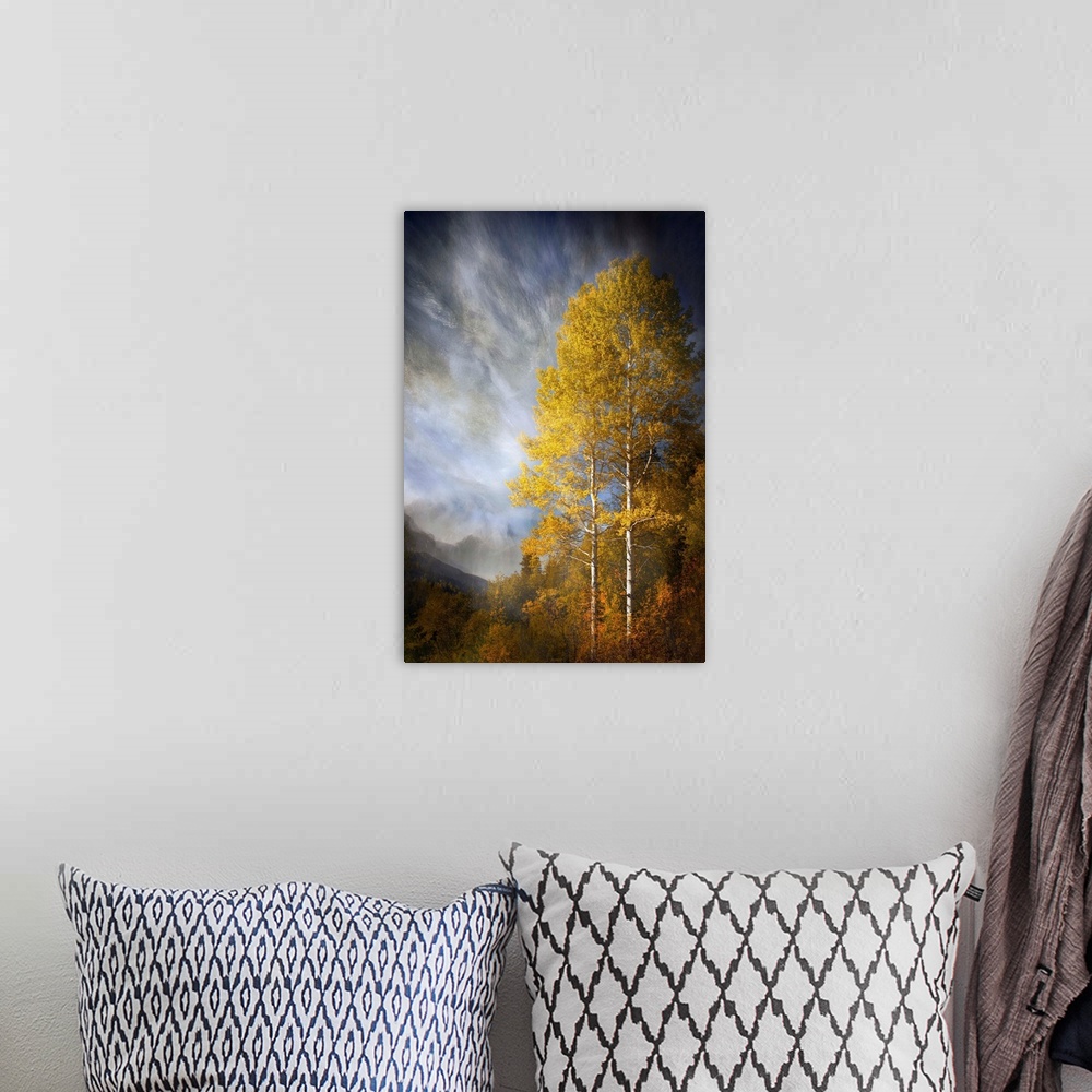 A bohemian room featuring Photograph of a forest clearing in autumn foliage, under dramatic clouds.