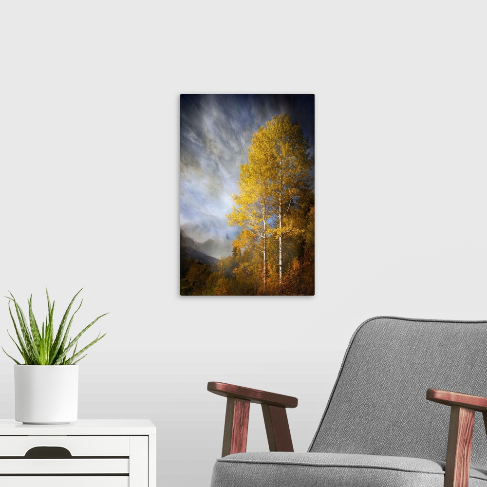 A modern room featuring Photograph of a forest clearing in autumn foliage, under dramatic clouds.