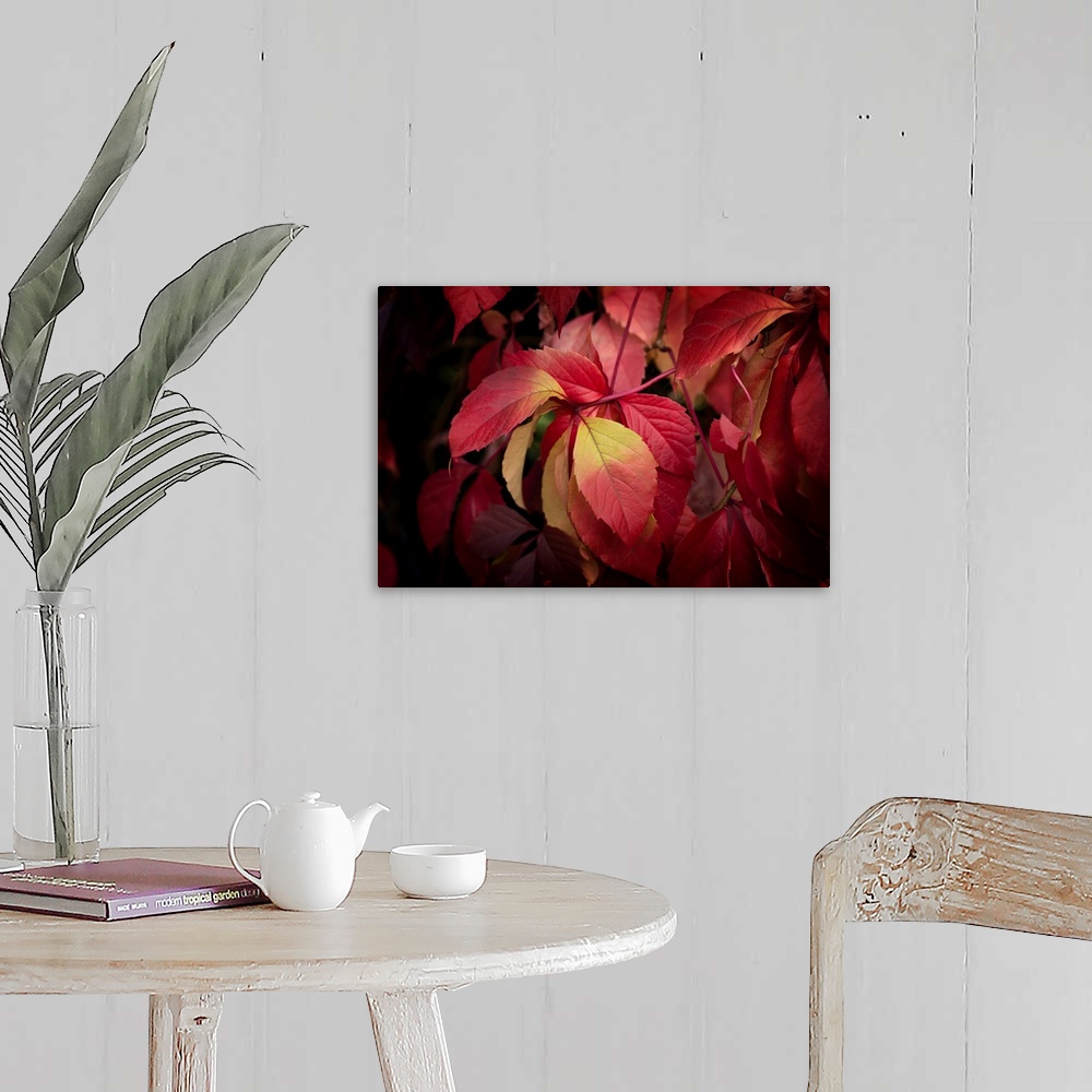 A farmhouse room featuring Fine art photo of a group of red leaves on a thin branch.
