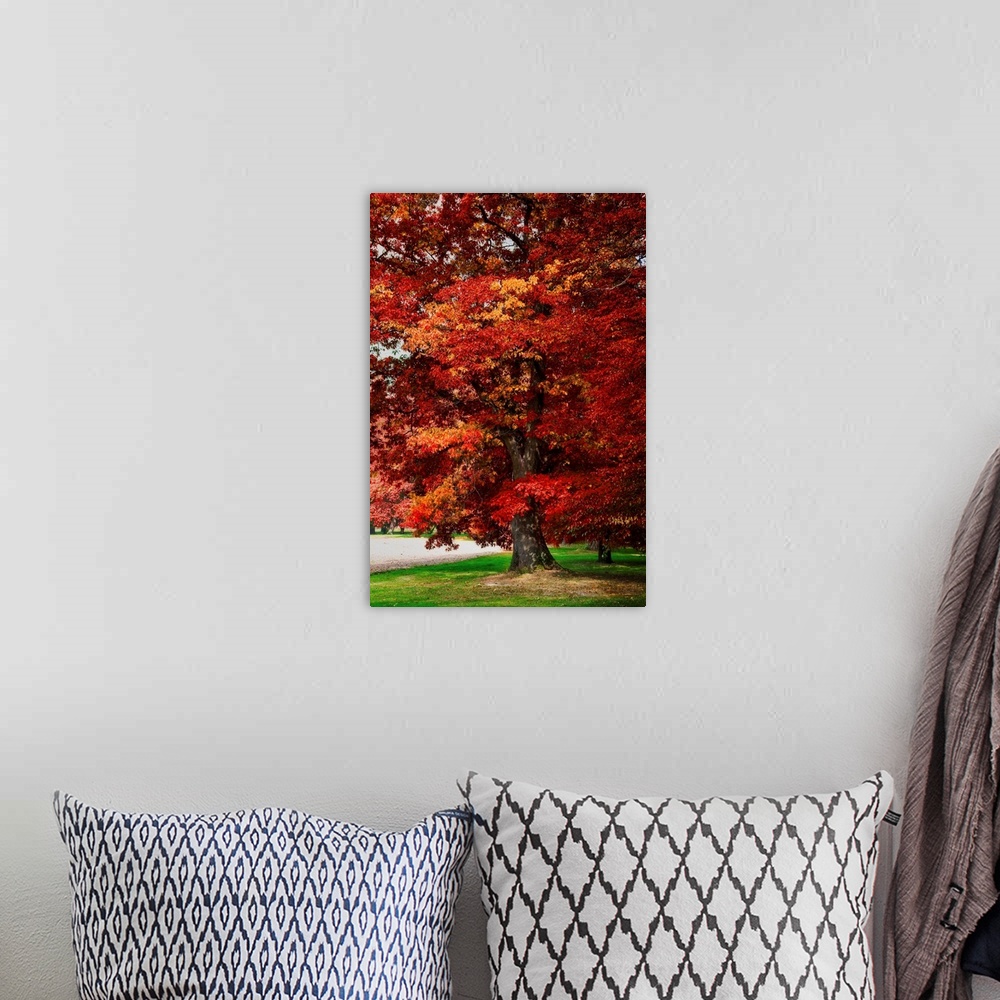 A bohemian room featuring Red oak with expressionist photo or painterly effect