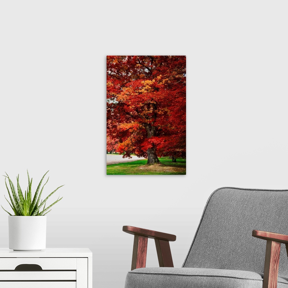 A modern room featuring Red oak with expressionist photo or painterly effect