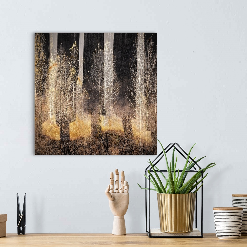 A bohemian room featuring Abstract golden light in a forest of bare trees, resembling piano keys.