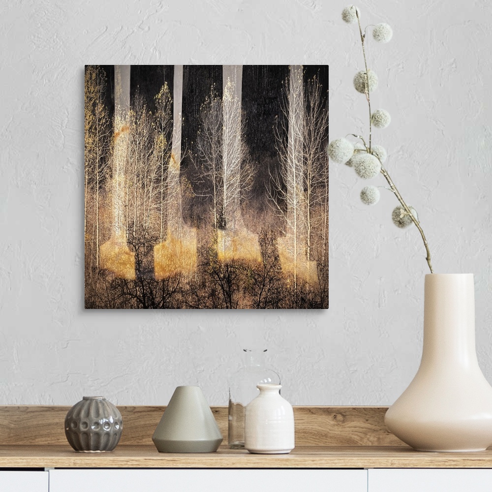 A farmhouse room featuring Abstract golden light in a forest of bare trees, resembling piano keys.