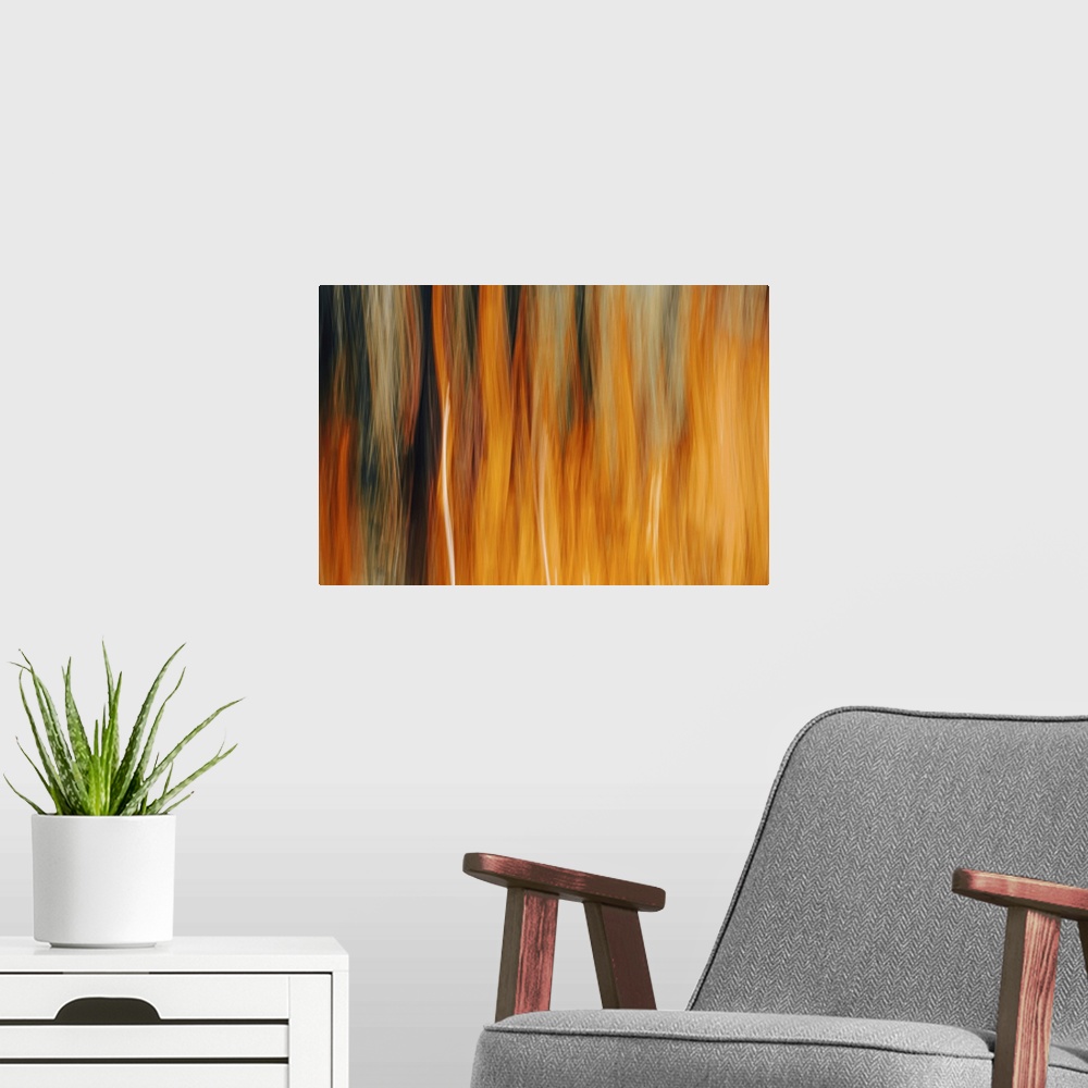 A modern room featuring Abstract view of a group of trees.