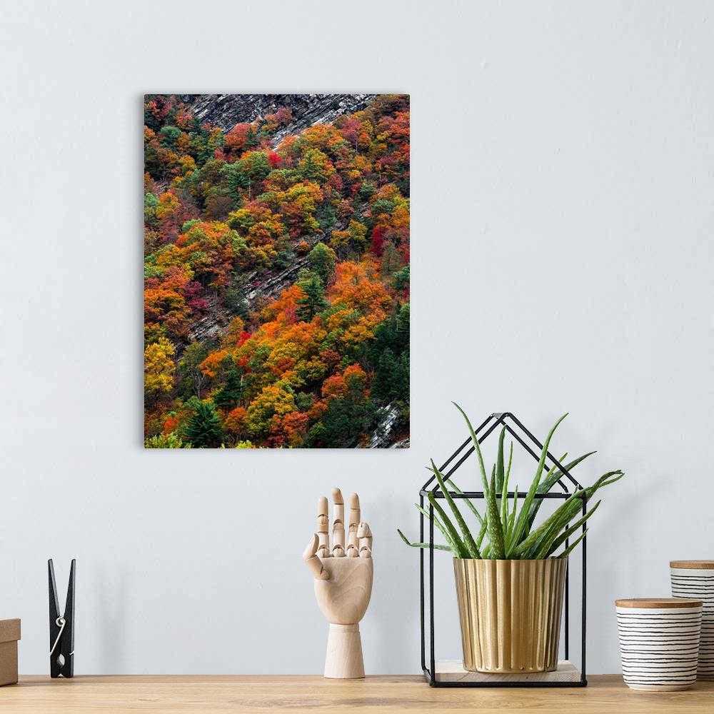 A bohemian room featuring Aerial view of snowy rock hidden among orange and green autumn trees.